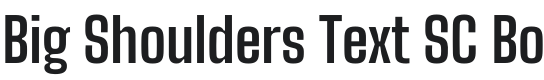 Big Shoulders Text SC Bold Font Preview