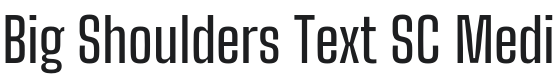 Big Shoulders Text SC Medium Font Preview