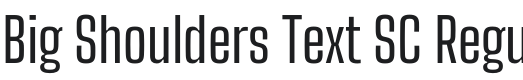 Big Shoulders Text SC Regular Font Preview