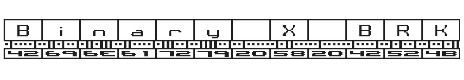 Binary X BRK Font Preview