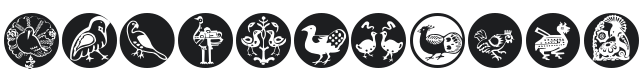 Birds Birds Font Preview