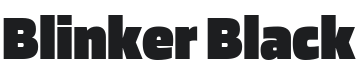 Blinker Black Font Preview