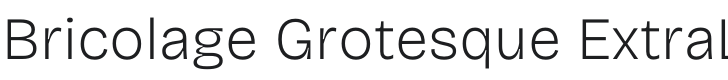 Bricolage Grotesque ExtraLight Font Preview
