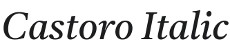 Castoro Italic Font Preview