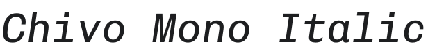 Chivo Mono Italic Font Preview