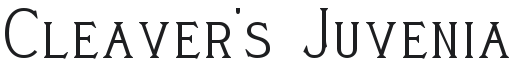 Cleaver's Juvenia Font Preview