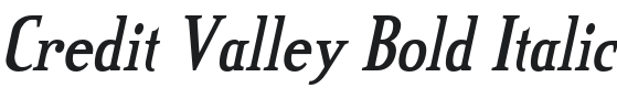 Credit Valley-Bold Italic Font Preview