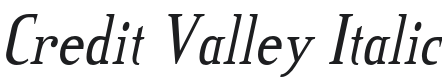 Credit Valley-Italic Font Preview