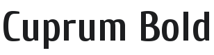 Cuprum Bold Font Preview