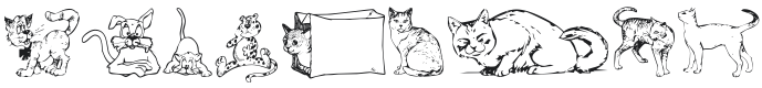 Dingcats Font Preview