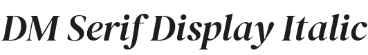 DM Serif Display Italic Font Preview