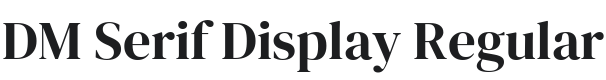 DM Serif Display Regular Font Preview