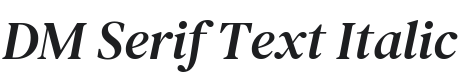 DM Serif Text Italic Font Preview