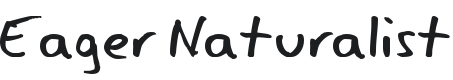 Eager Naturalist Font Preview