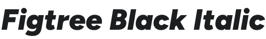 Figtree Black Italic Font Preview