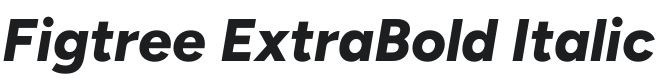 Figtree ExtraBold Italic Font Preview