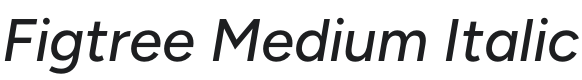 Figtree Medium Italic Font Preview