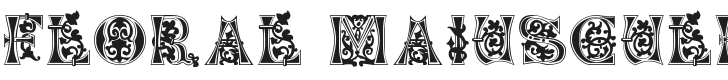 Floral Majuscules, 11th c. Font Preview