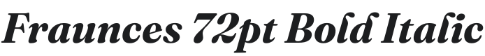 Fraunces 72pt Bold Italic Font Preview