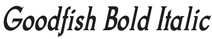 Goodfish-Bold-Italic Font Preview