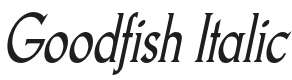 Goodfish-Italic Font Preview