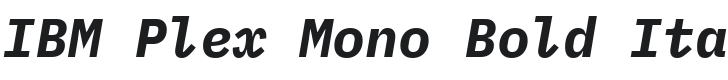 IBM Plex Mono Bold Italic Font Preview