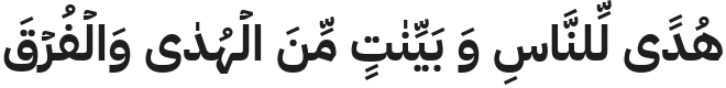 IBM Plex Sans Arabic Bold Font Preview