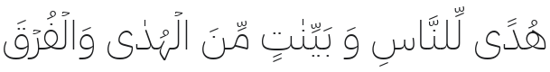 IBM Plex Sans Arabic ExtraLight Font Preview
