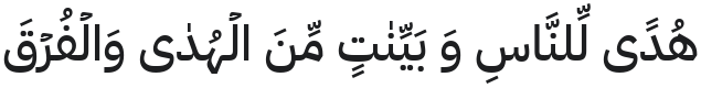 IBM Plex Sans Arabic Medium Font Preview