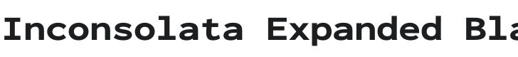 Inconsolata Expanded Black Font Preview