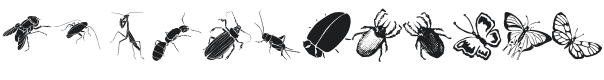 Insects Font Preview
