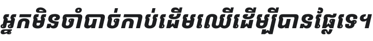 Kantumruy Pro Bold Italic Font Preview