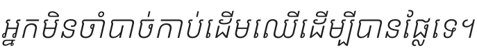 Kantumruy Pro Light Italic Font Preview