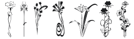 KR Classic Fleur 2 Font Preview