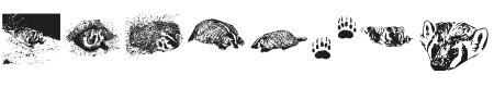 KR Crystal's Badgers Font Preview