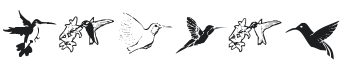 KR Renee's Hummingbirds Font Preview