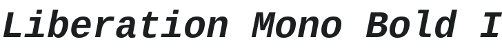Liberation Mono Bold Italic Font Preview
