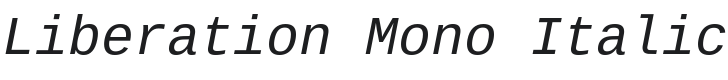 Liberation Mono Italic Font Preview