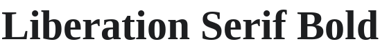 Liberation Serif Bold Font Preview