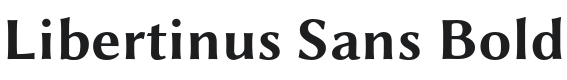 Libertinus Sans Bold Font Preview