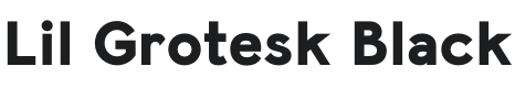 Lil Grotesk Black Font Preview