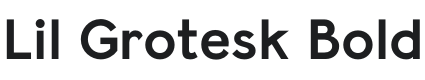 Lil Grotesk Bold Font Preview