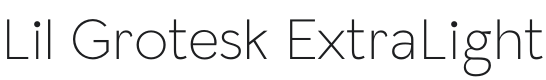 Lil Grotesk ExtraLight Font Preview