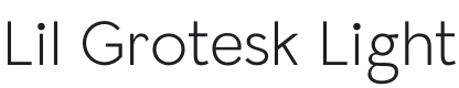 Lil Grotesk Light Font Preview