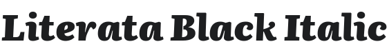Literata Black Italic Font Preview