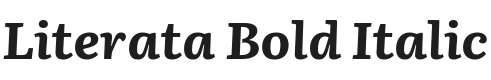 Literata Bold Italic Font Preview