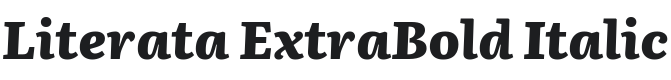 Literata ExtraBold Italic Font Preview