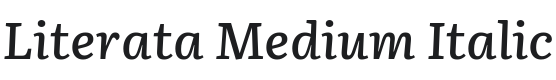 Literata Medium Italic Font Preview
