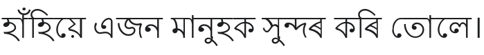 Lohit Assamese Font Preview