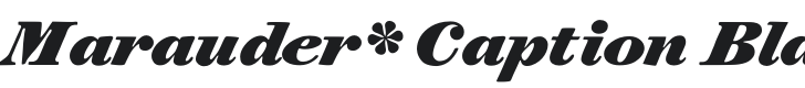 Marauder* Caption Black Italic Font Preview